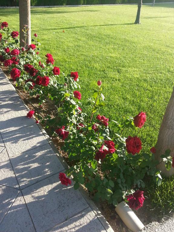 Сasa de vacaciones Cortijo El Cobertizo Viejo Granada